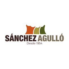 Sanchez Agulló